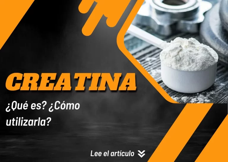 Lee más sobre el artículo Creatina